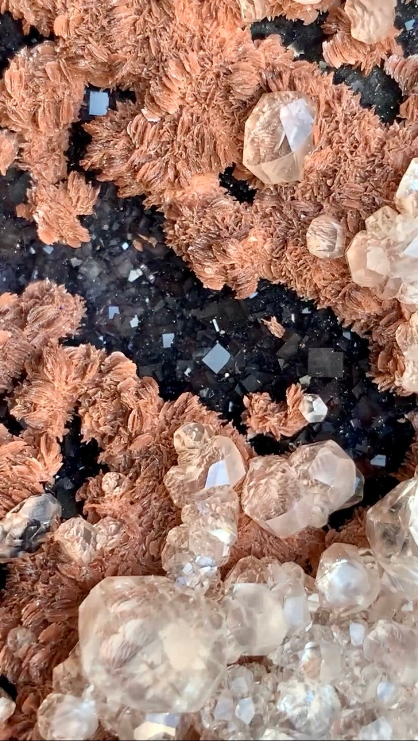 Lustrous Calcite with dark purple fluorite