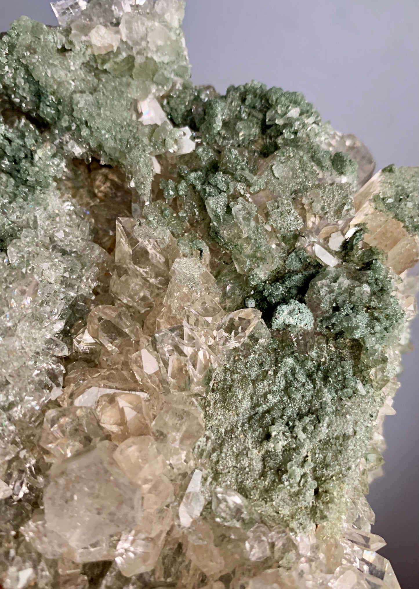 Champagne Himalayan Quartz with Chlorite, Anatase
