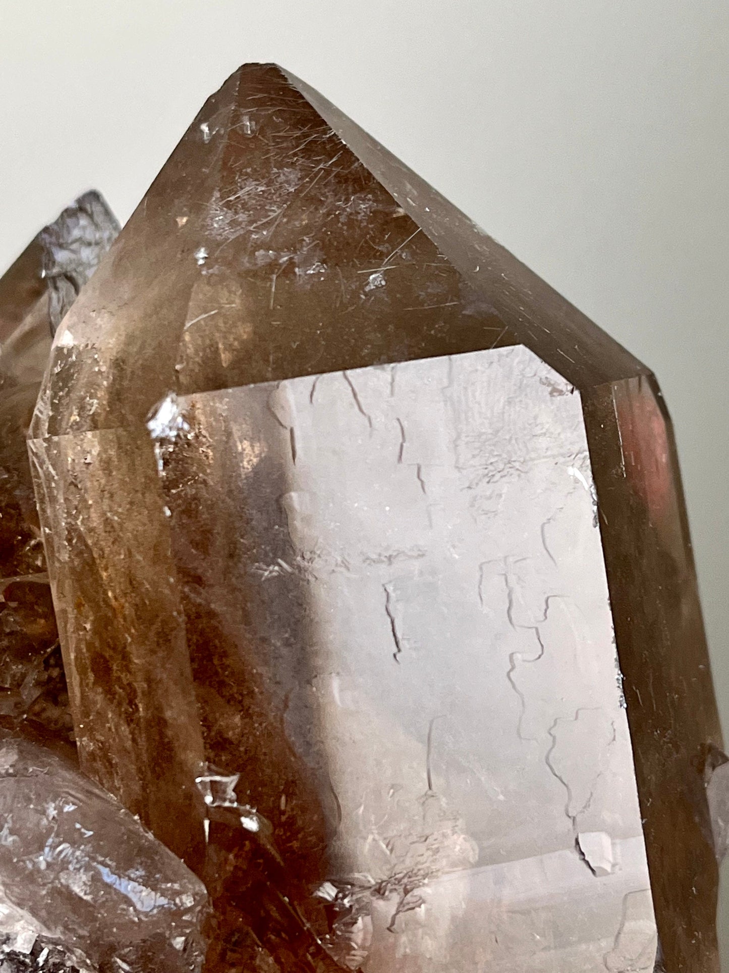 Smoky Quartz Cluster with Rutile