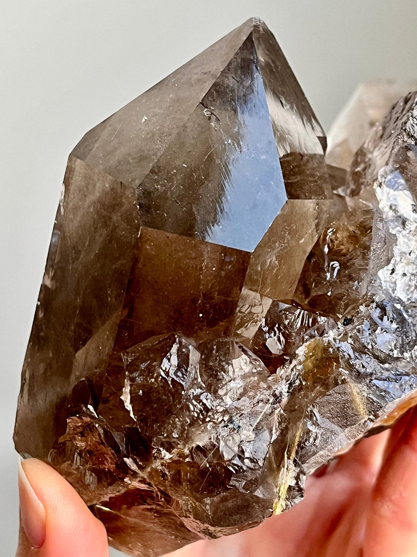 Smoky Quartz Cluster with Rutile