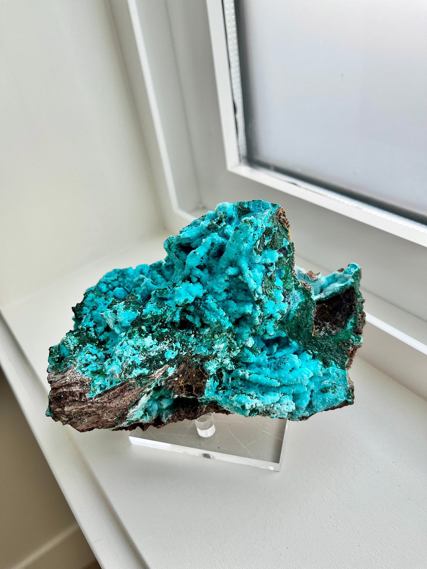 Druzy Chrysocolla Pseudomorph after Malachite