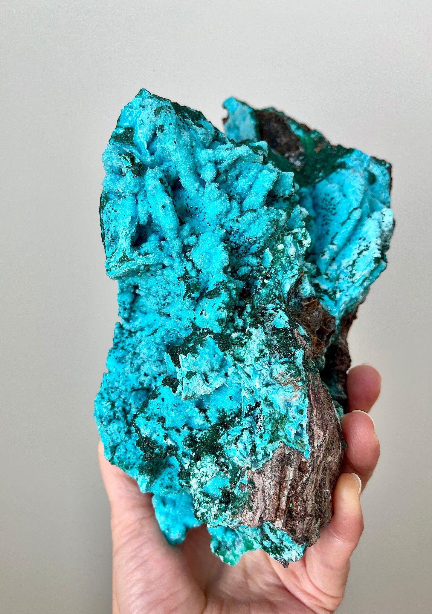 Druzy Chrysocolla Pseudomorph after Malachite