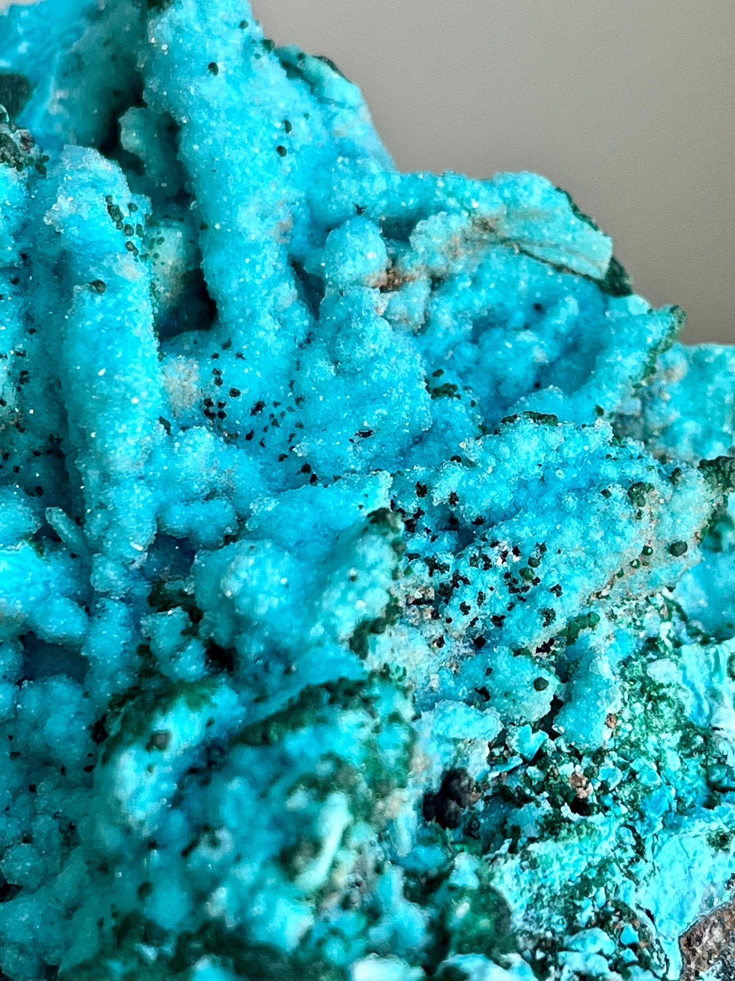 Druzy Chrysocolla Pseudomorph after Malachite