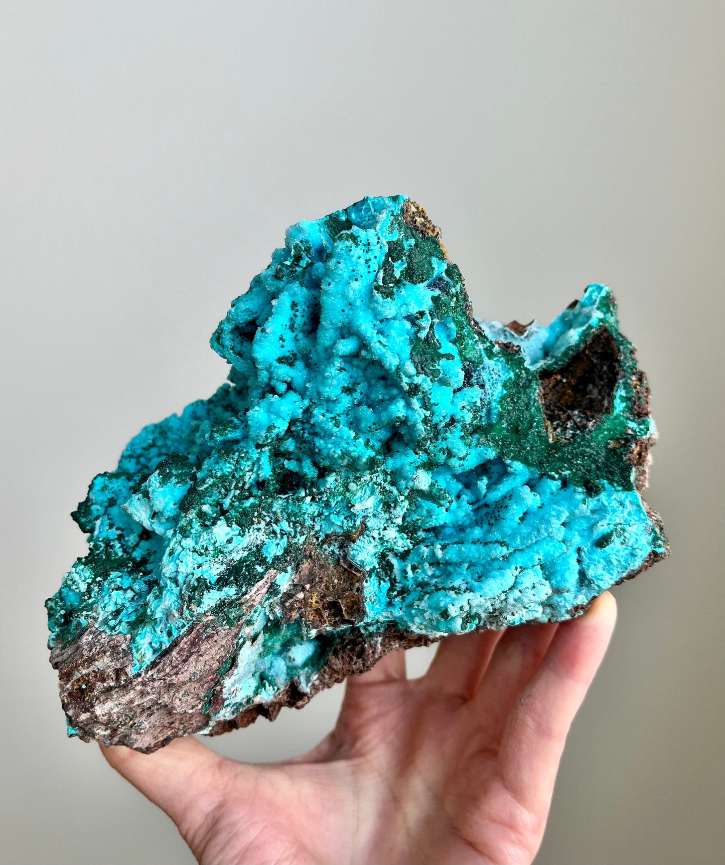 Druzy Chrysocolla Pseudomorph after Malachite