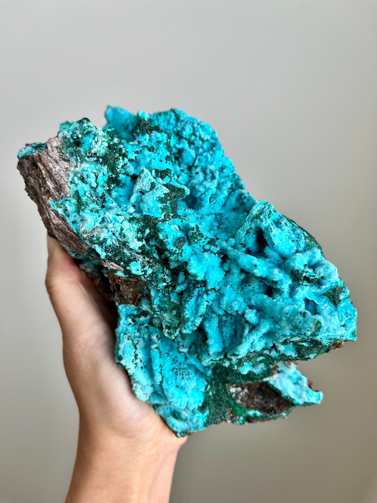 Druzy Chrysocolla Pseudomorph after Malachite