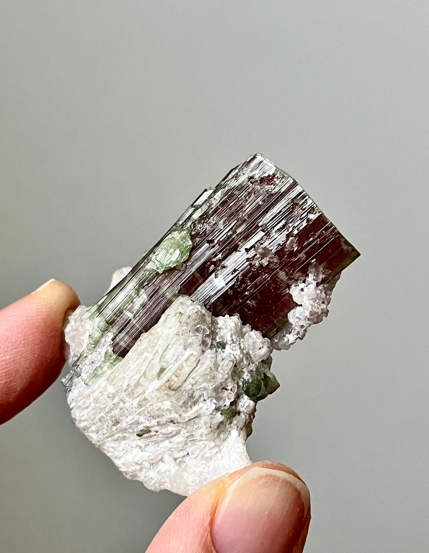 Bicolour Tourmaline with Albite