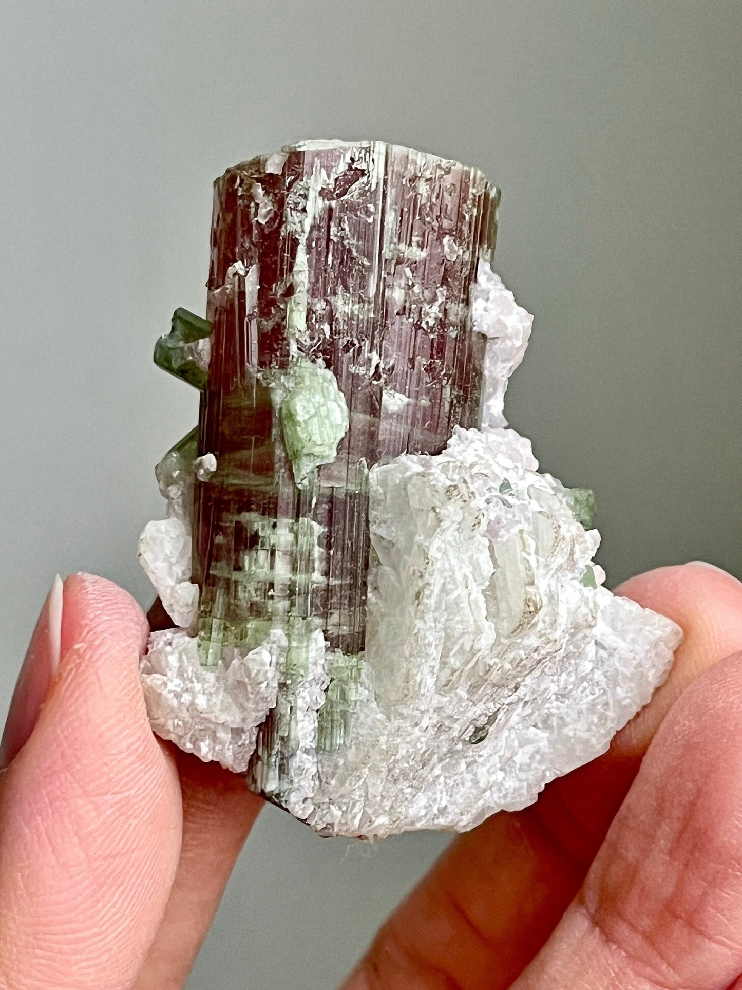Bicolour Tourmaline with Albite