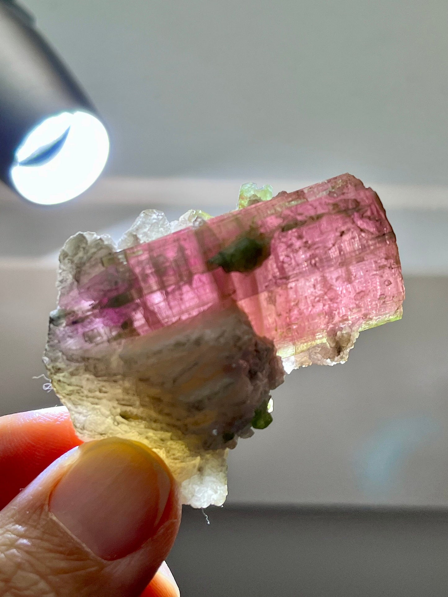 Bicolour Tourmaline with Albite