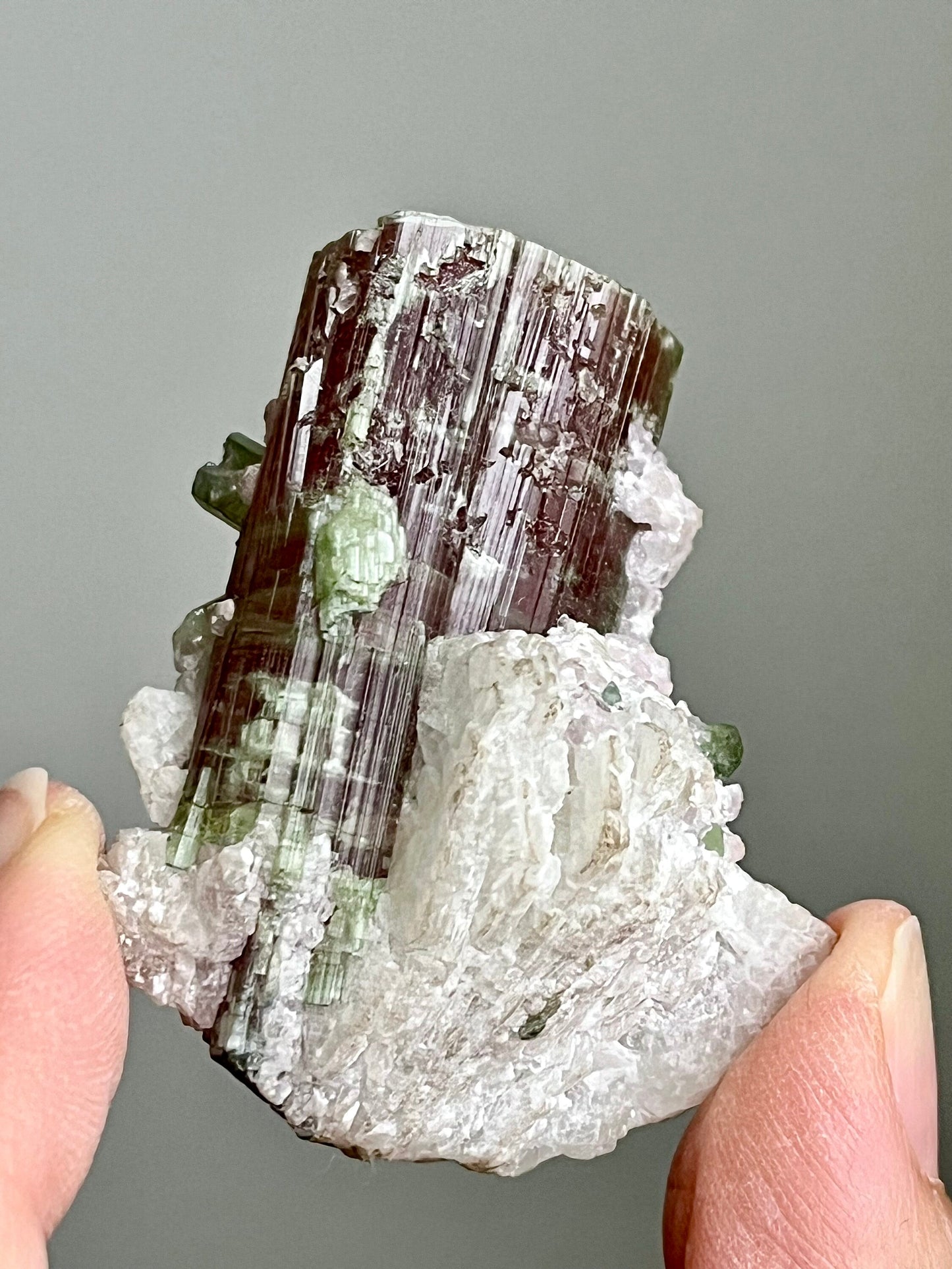 Bicolour Tourmaline with Albite