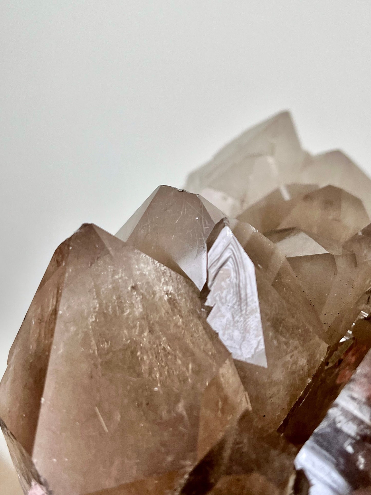 Rutilated Smoky Quartz Cluster with Record Keepers