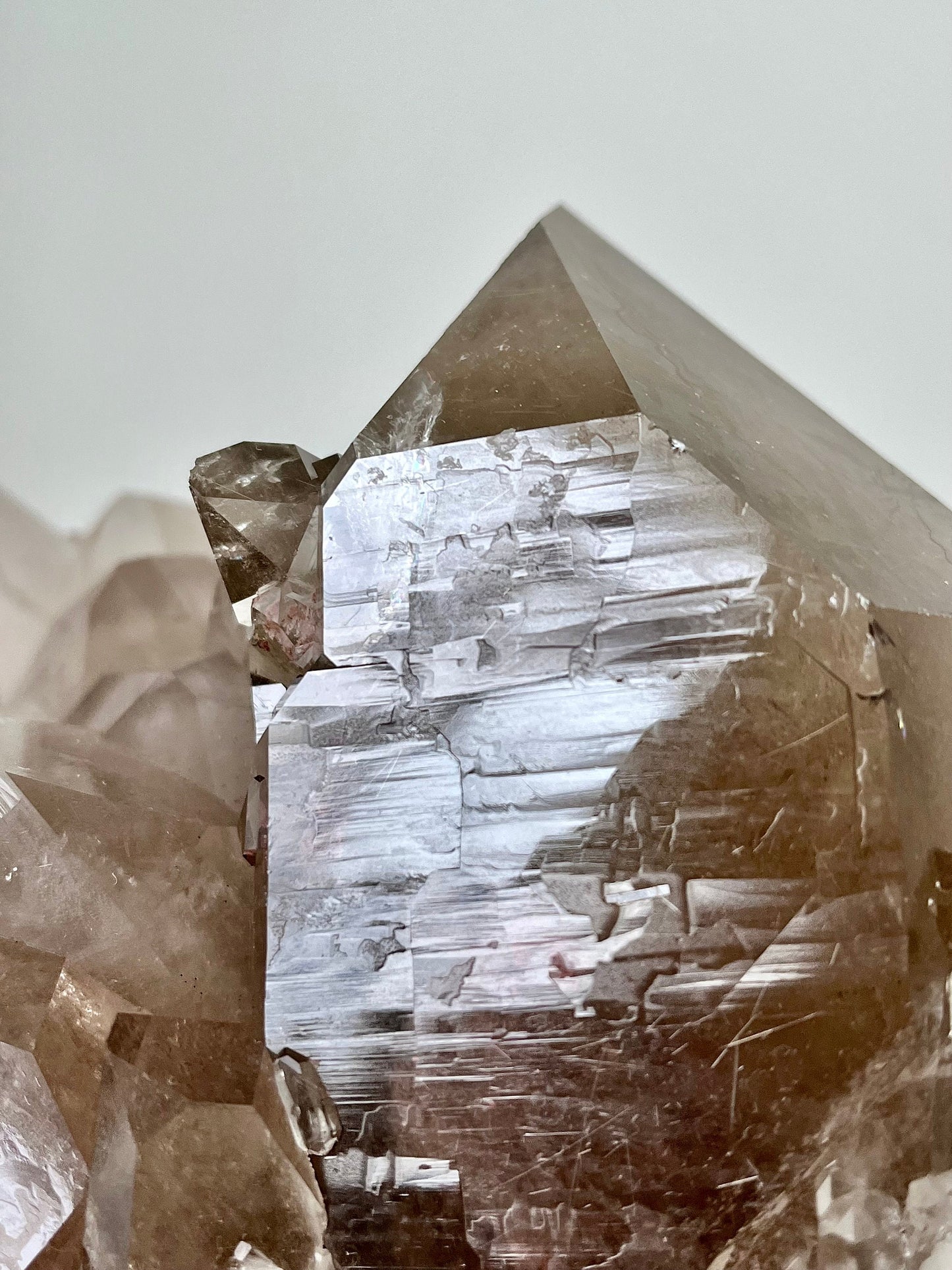 Rutilated Smoky Quartz Cluster with Record Keepers