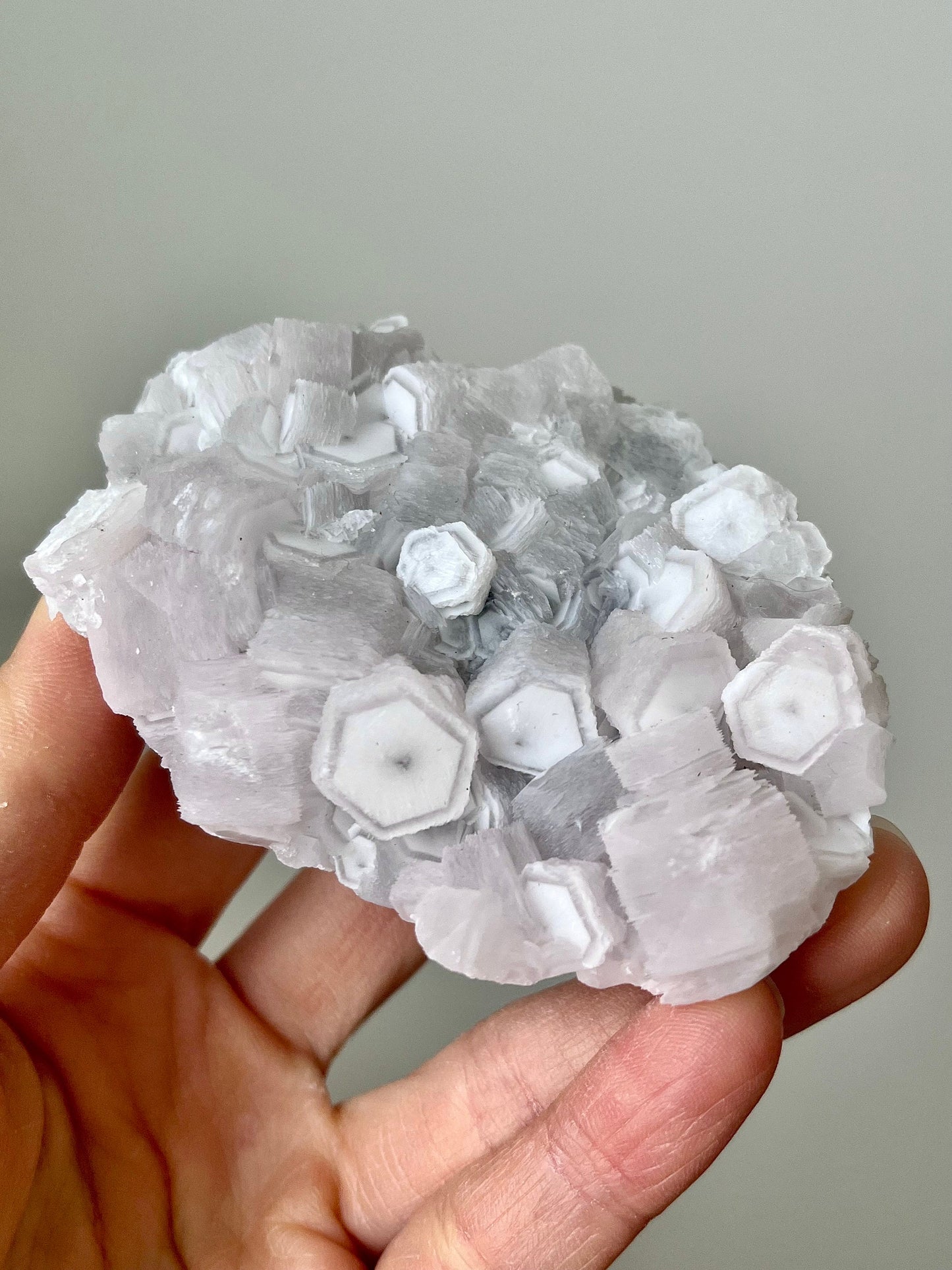 Fluorescent Pink Coin Calcite