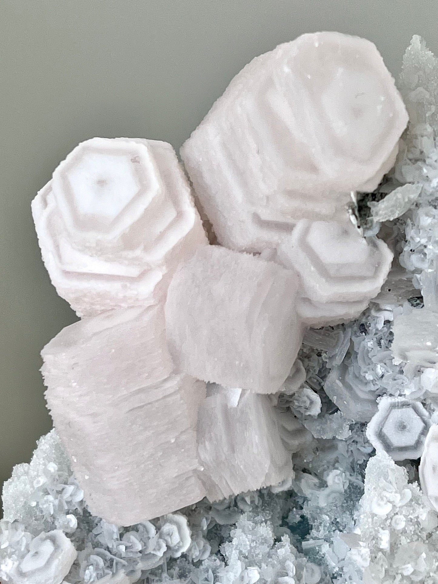 Fluorescent Pink Coin Calcite