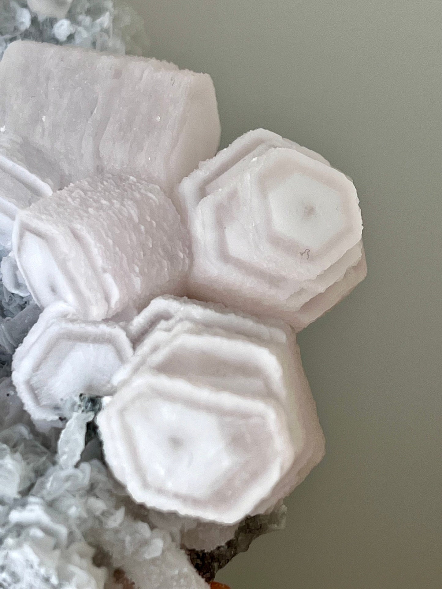 Fluorescent Pink Coin Calcite