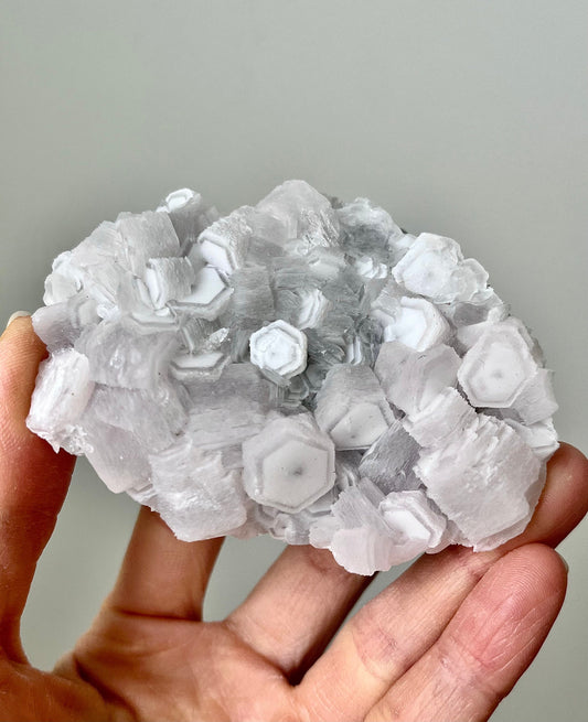 Fluorescent Pink Coin Calcite