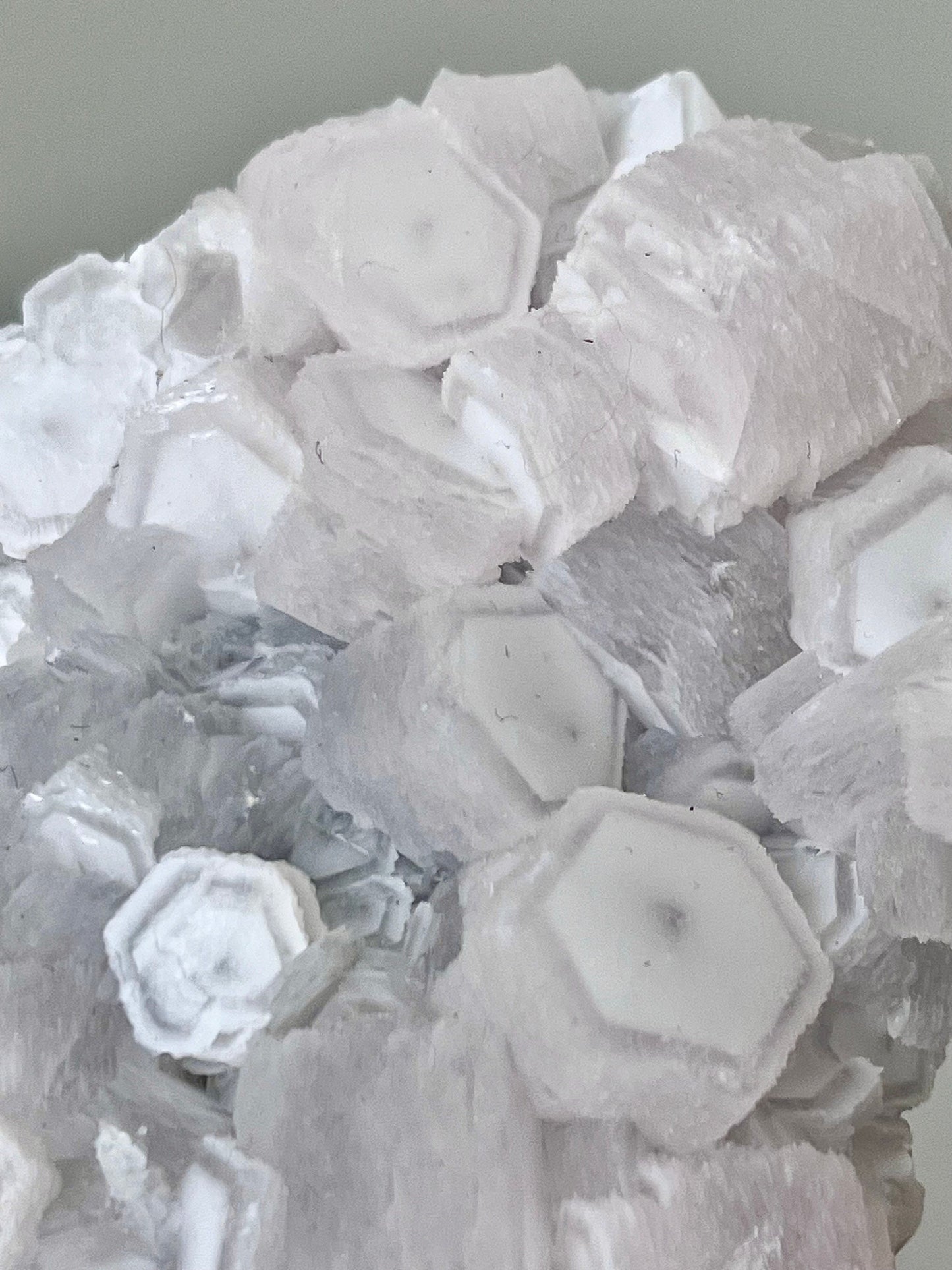 Fluorescent Pink Coin Calcite