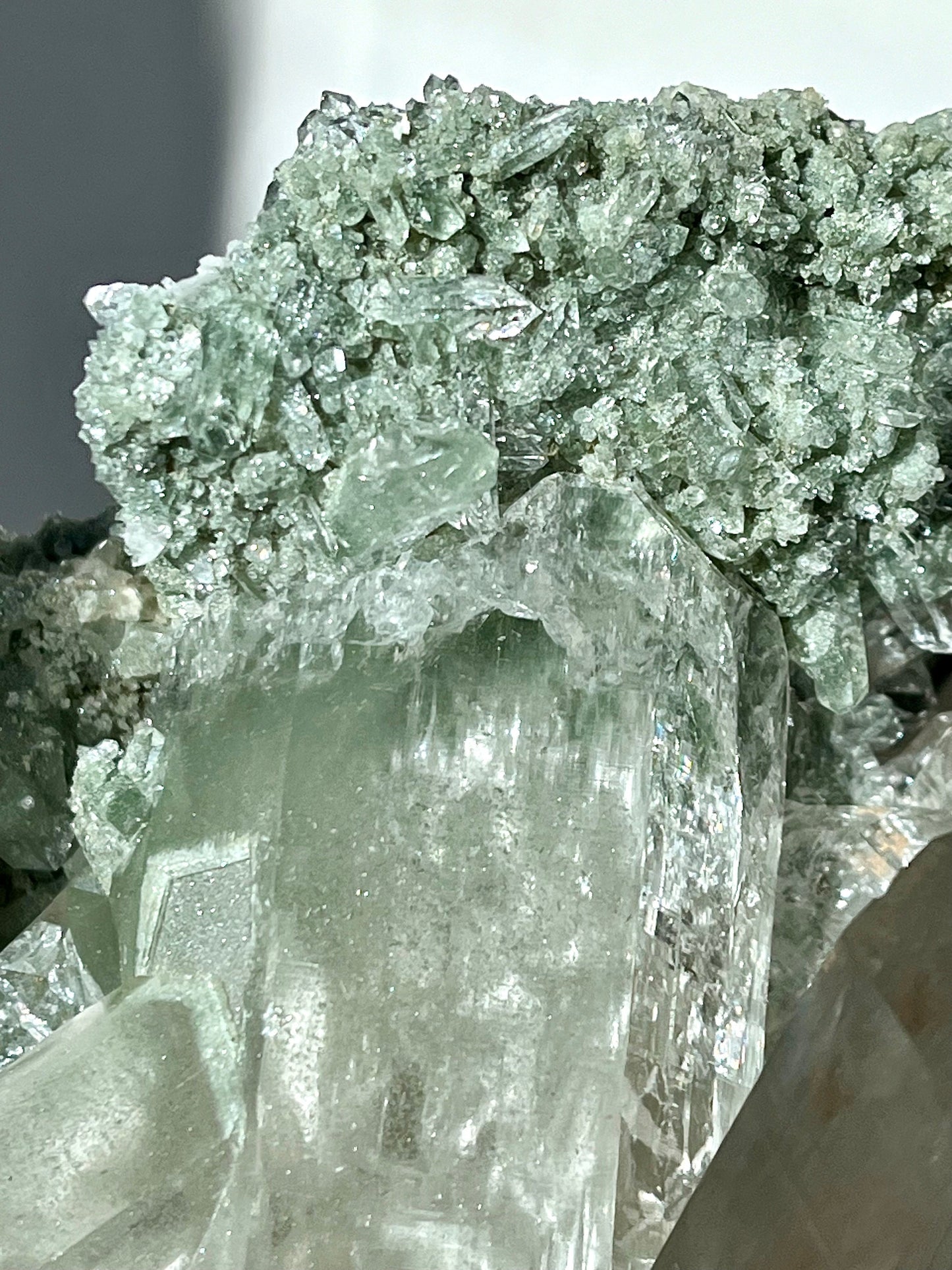 Himalayan Quartz Cluster with Chlorite, Record Keepers