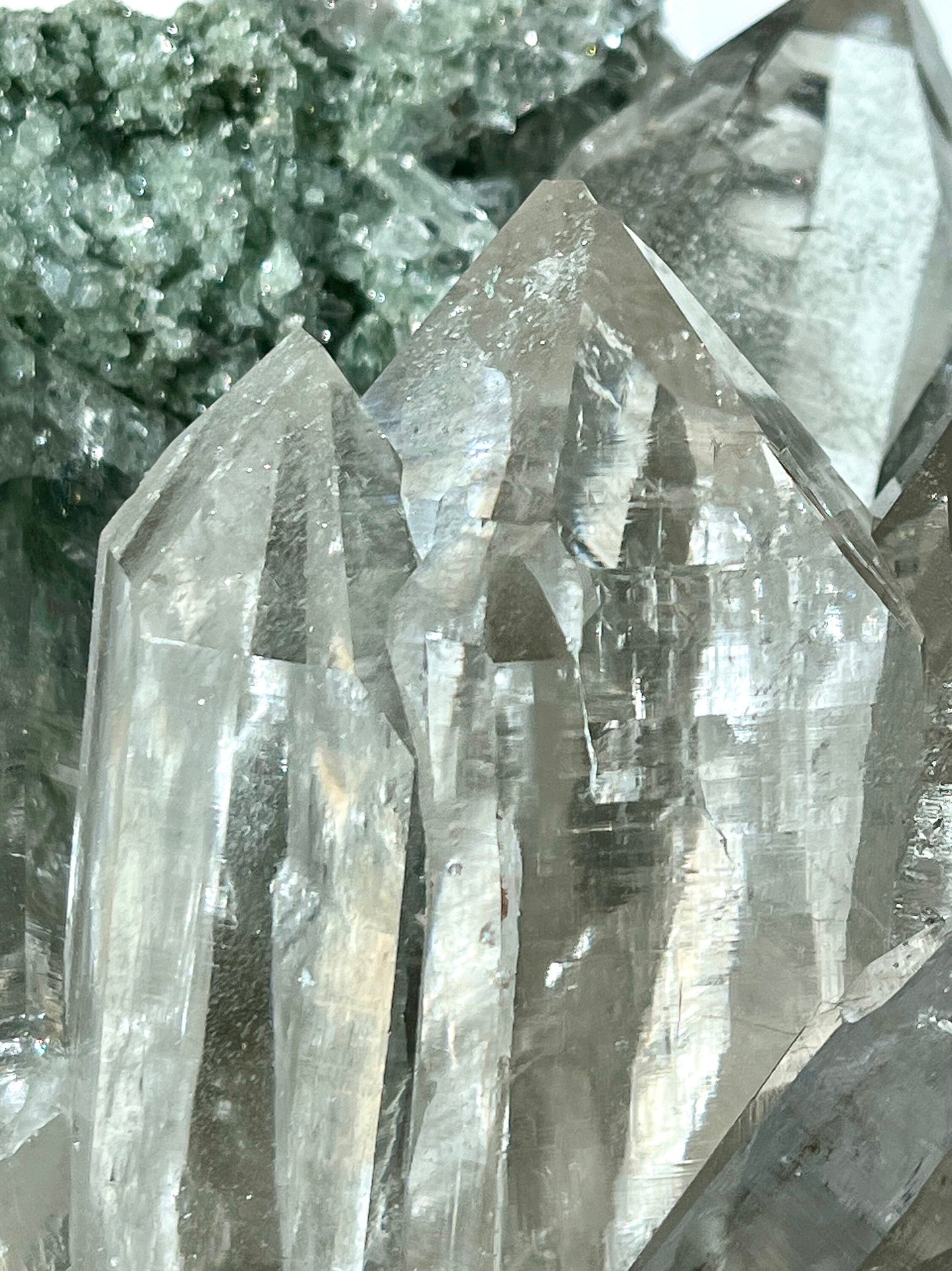 Himalayan Quartz Cluster with Chlorite, Record Keepers