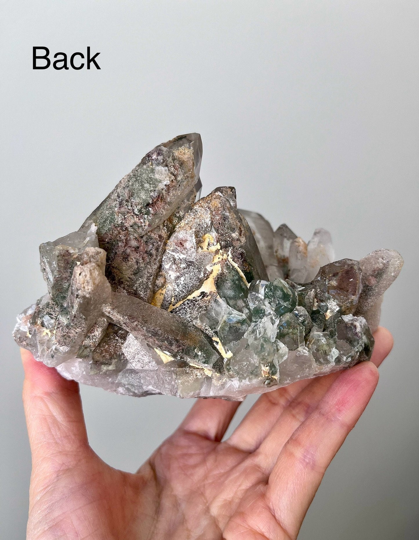 Garden/ Lodolite Lemurian Quartz Cluster