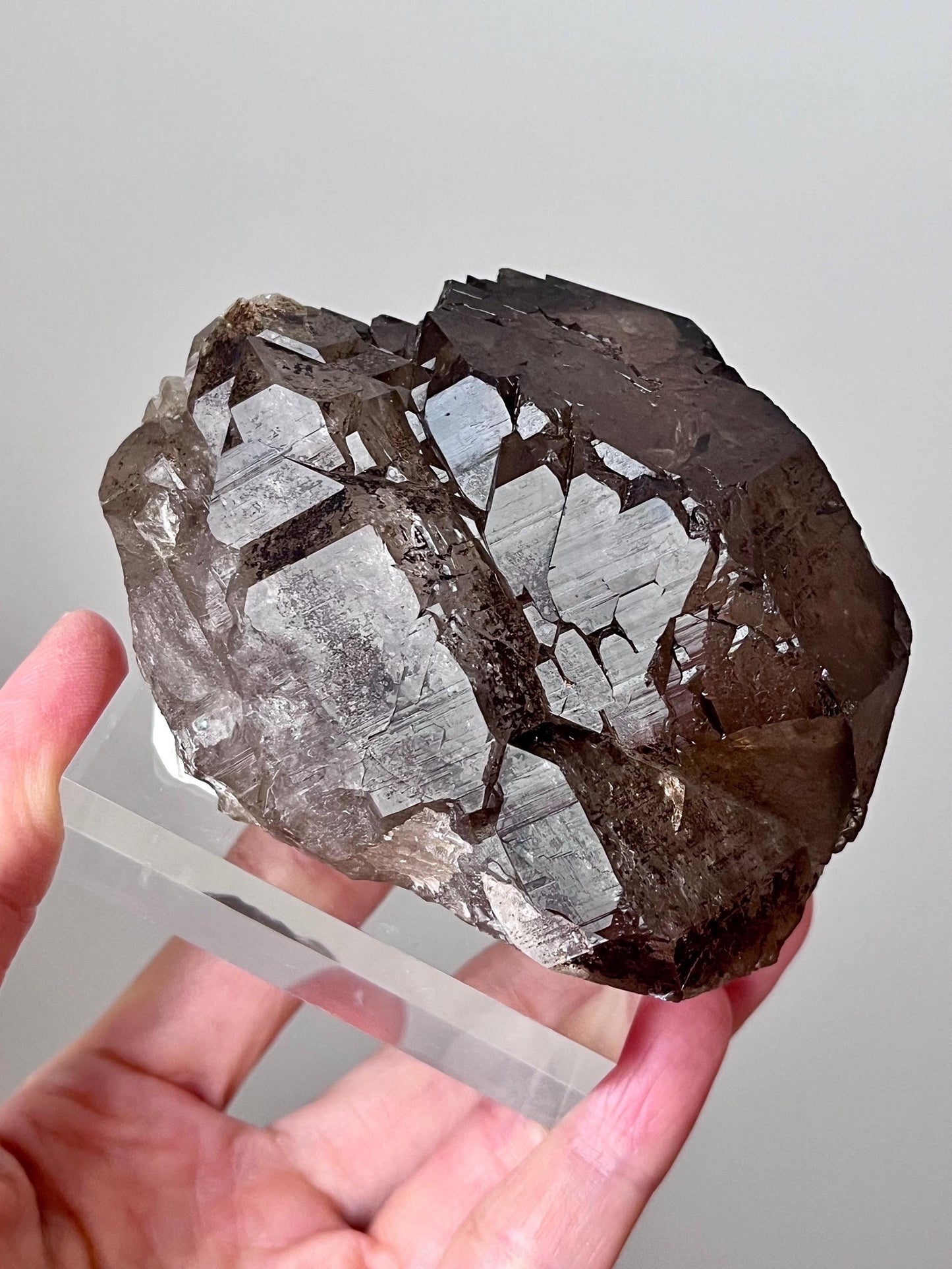 Gwindel Smoky Quartz