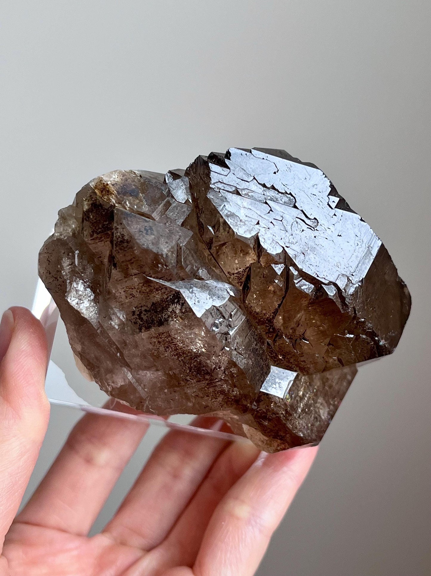 Gwindel Smoky Quartz