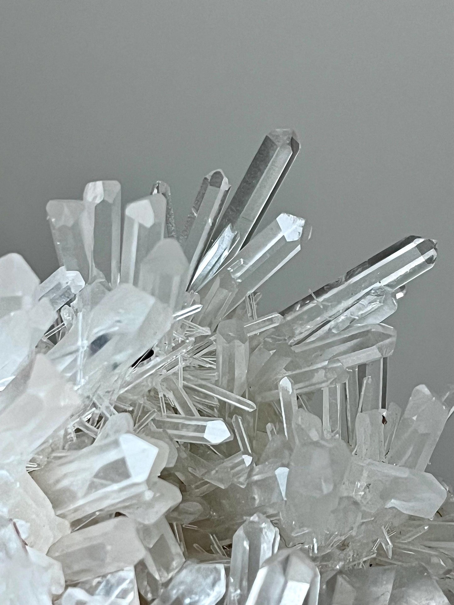 Colombian Chrysanthemum Quartz