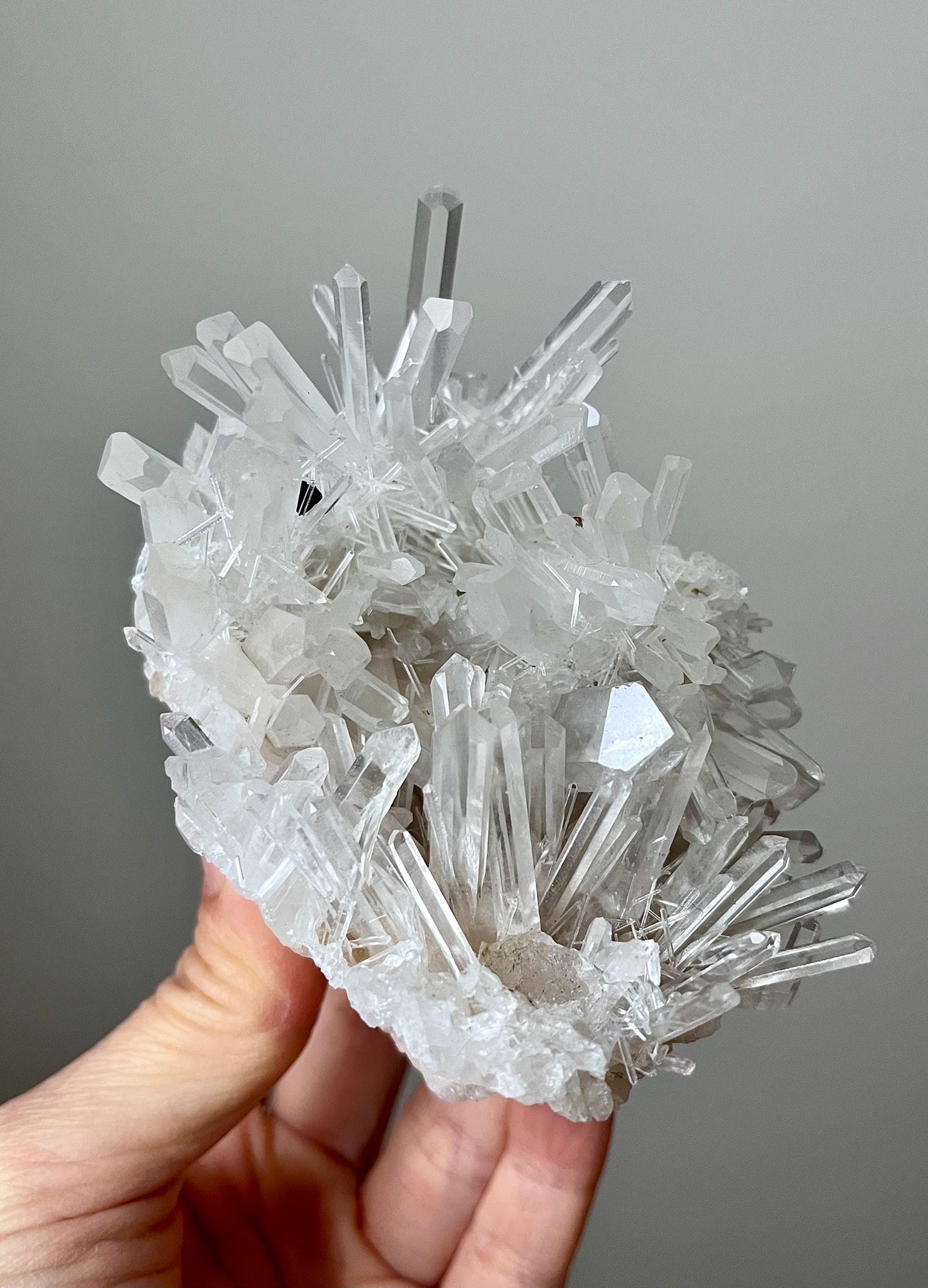 Colombian Chrysanthemum Quartz