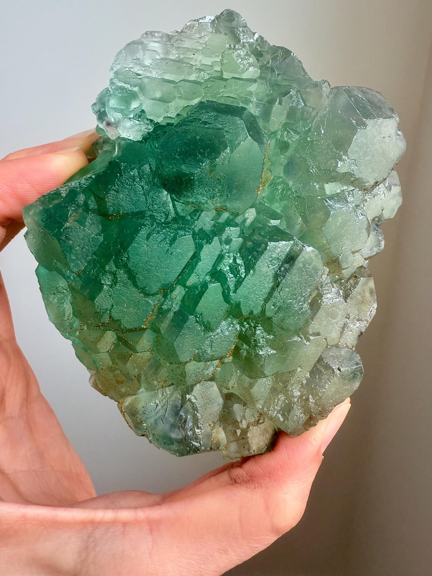 Fluorite with Pyrite