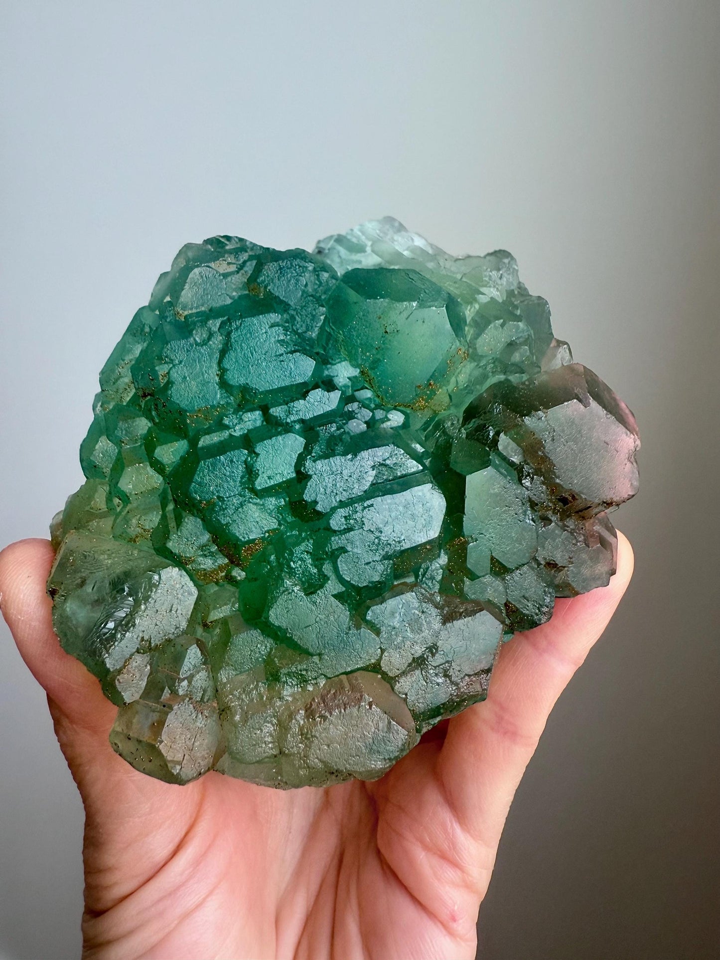 Fluorite with Pyrite
