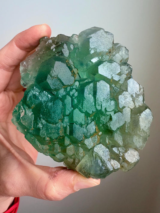 Fluorite with Pyrite