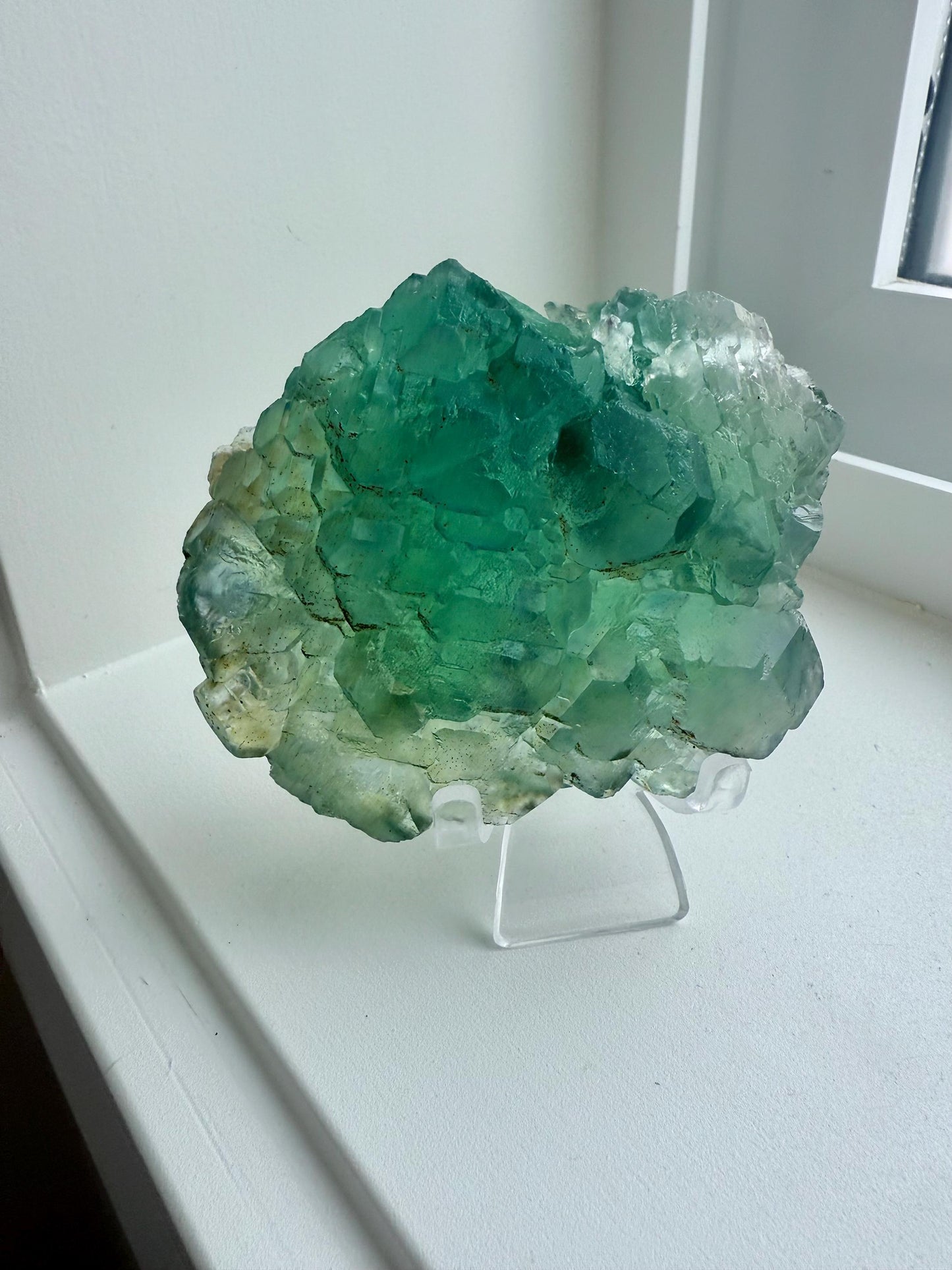 Fluorite with Pyrite