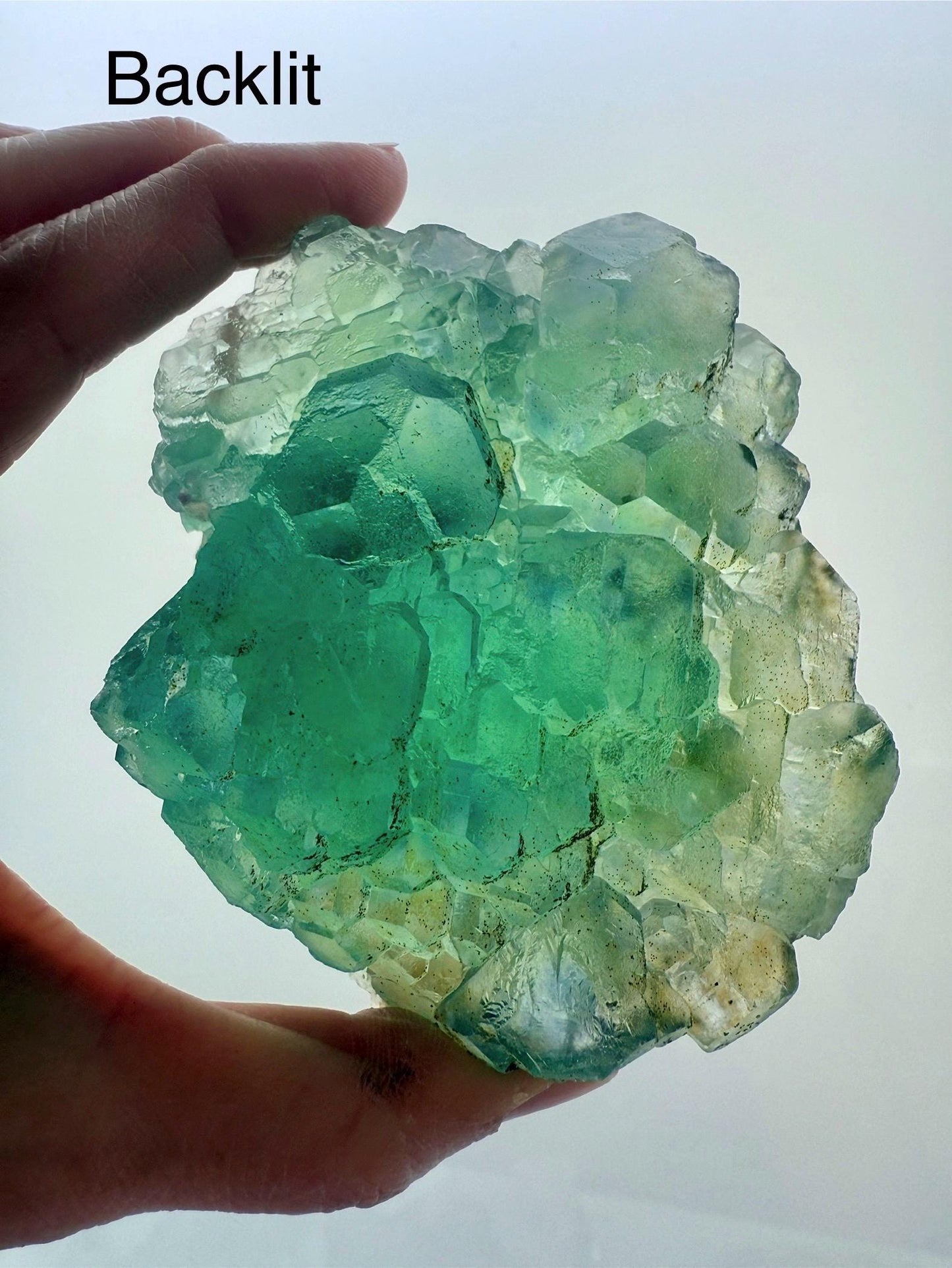 Fluorite with Pyrite
