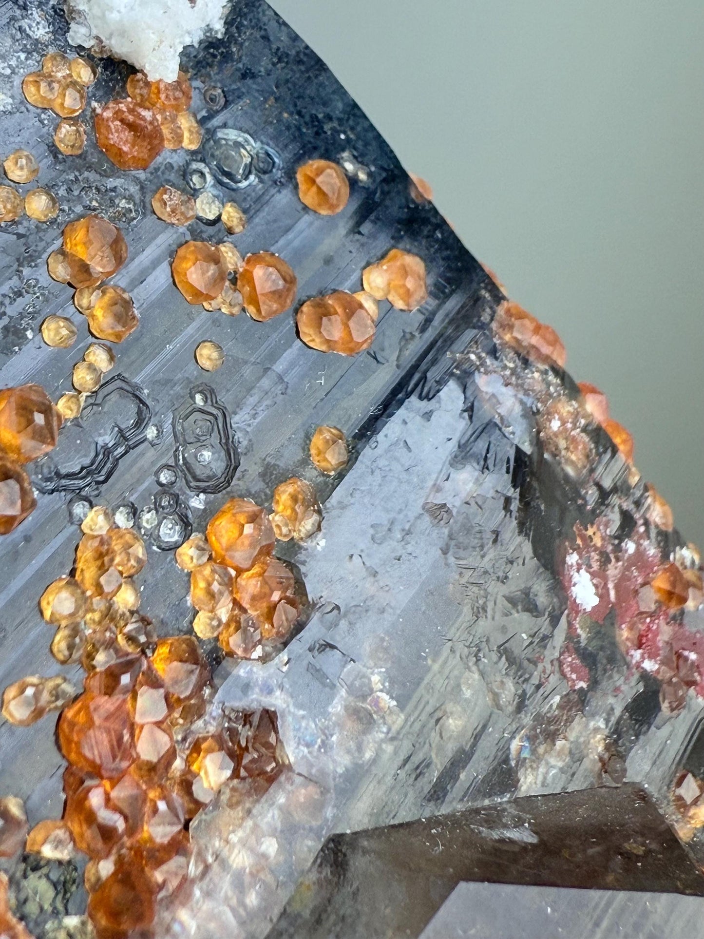 Smoky Quartz with Fanta Spessartine Garnets, Albite