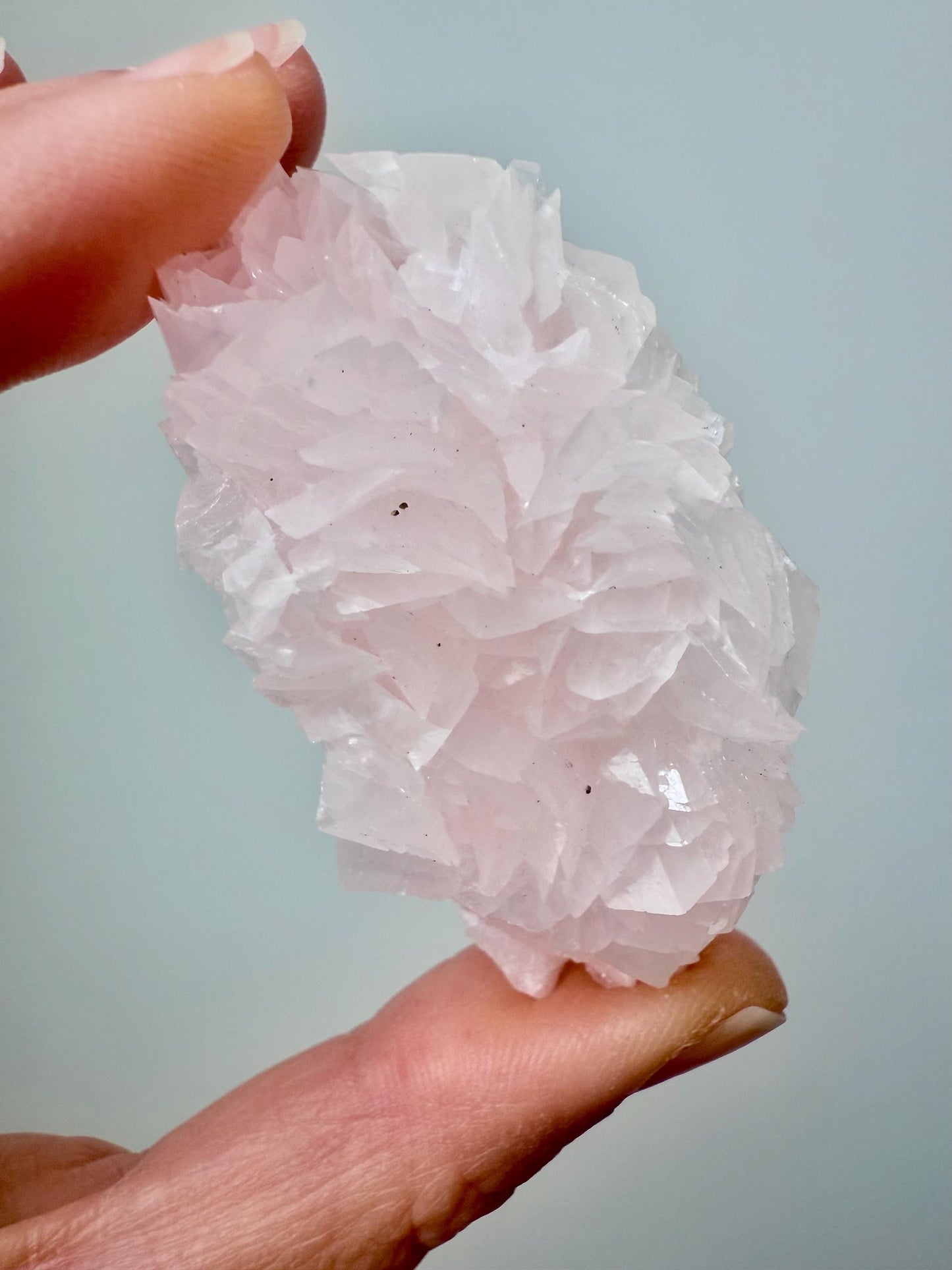 Fluorescent Pink Rose Calcite
