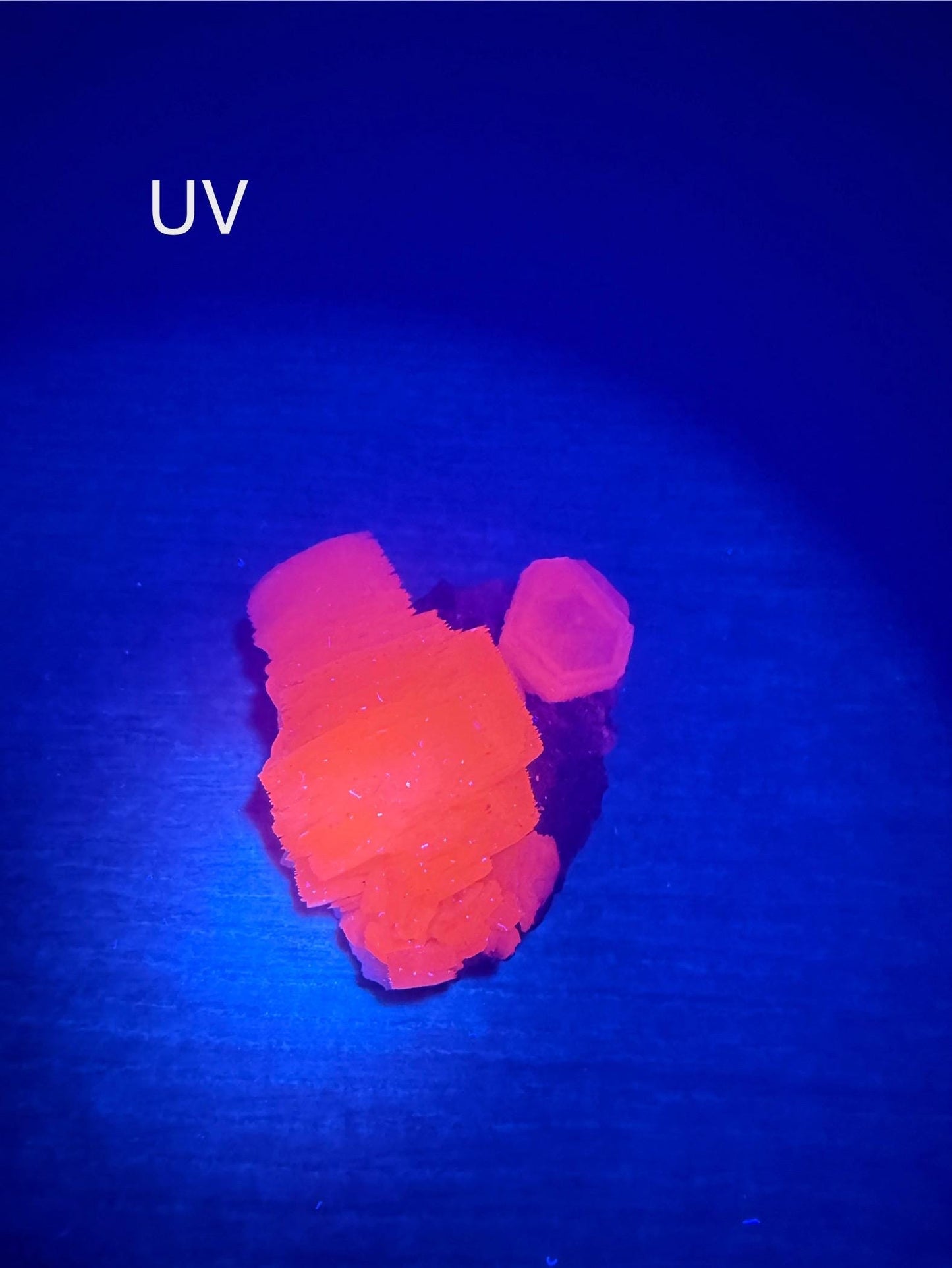 Fluorescent Pink Coin Calcite on Druzy matrix