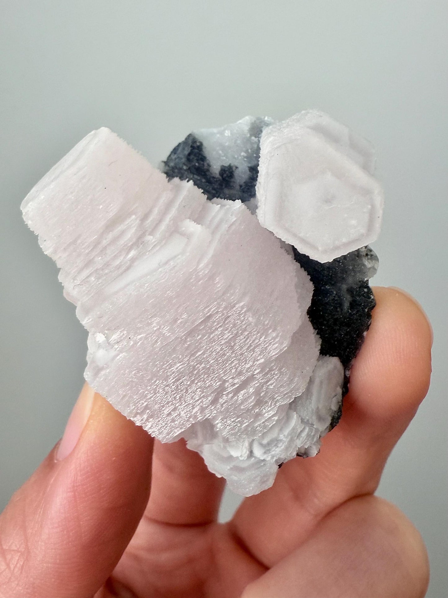 Fluorescent Pink Coin Calcite on Druzy matrix
