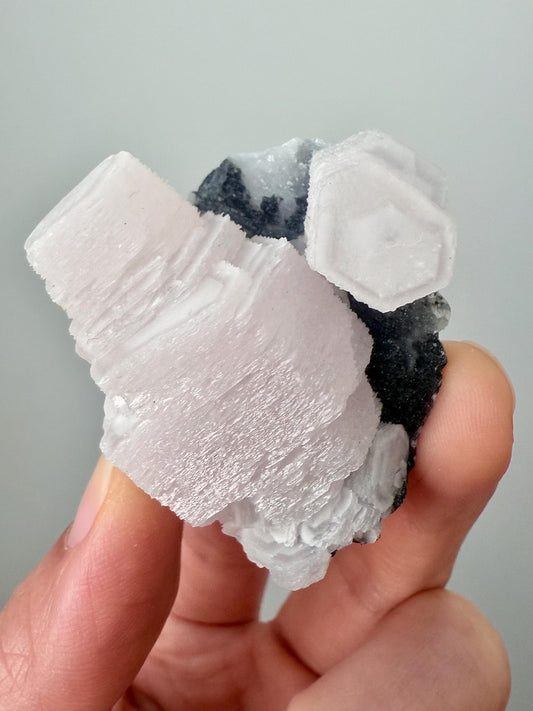 Fluorescent Pink Coin Calcite on Druzy matrix