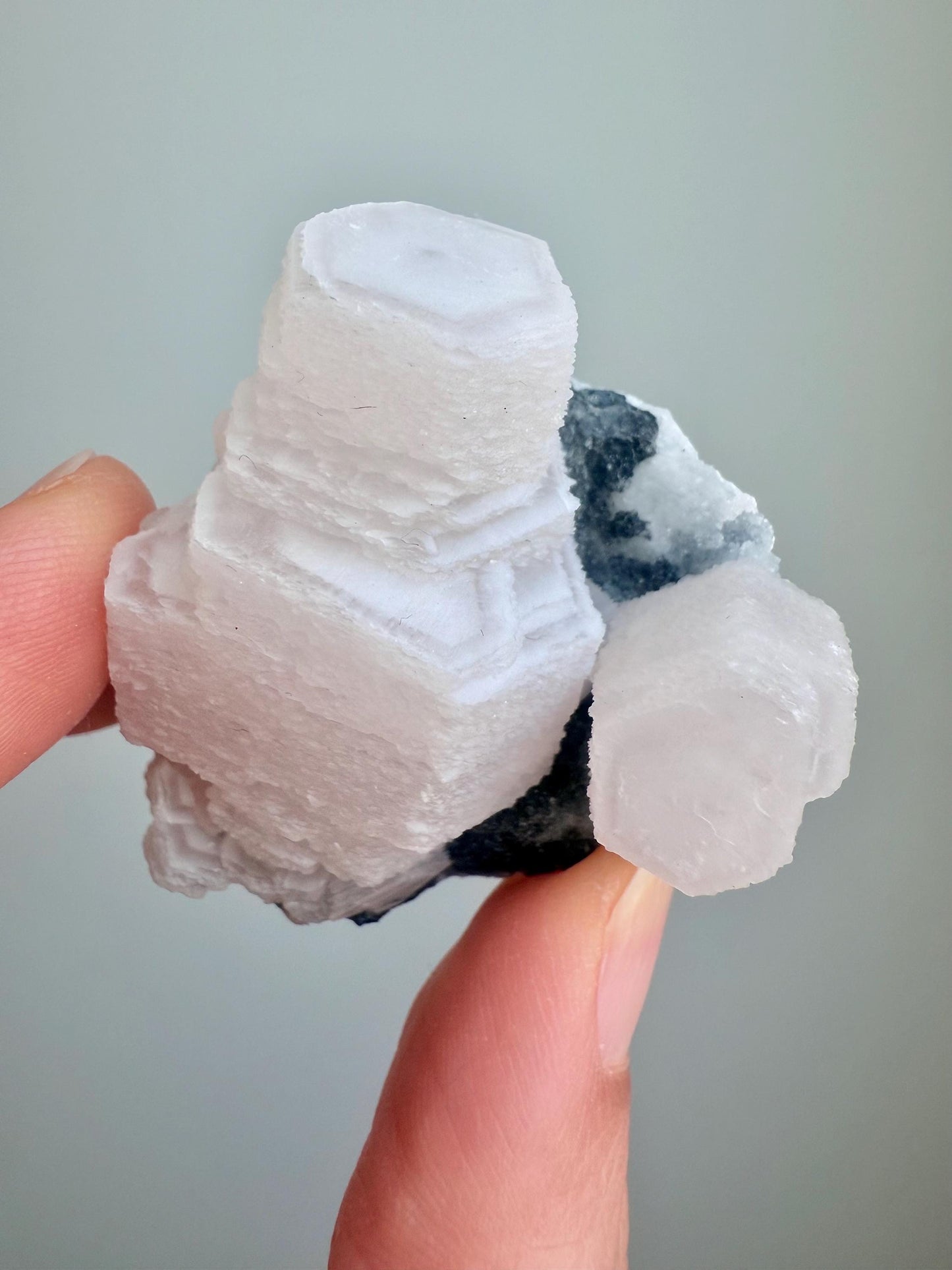 Fluorescent Pink Coin Calcite on Druzy matrix