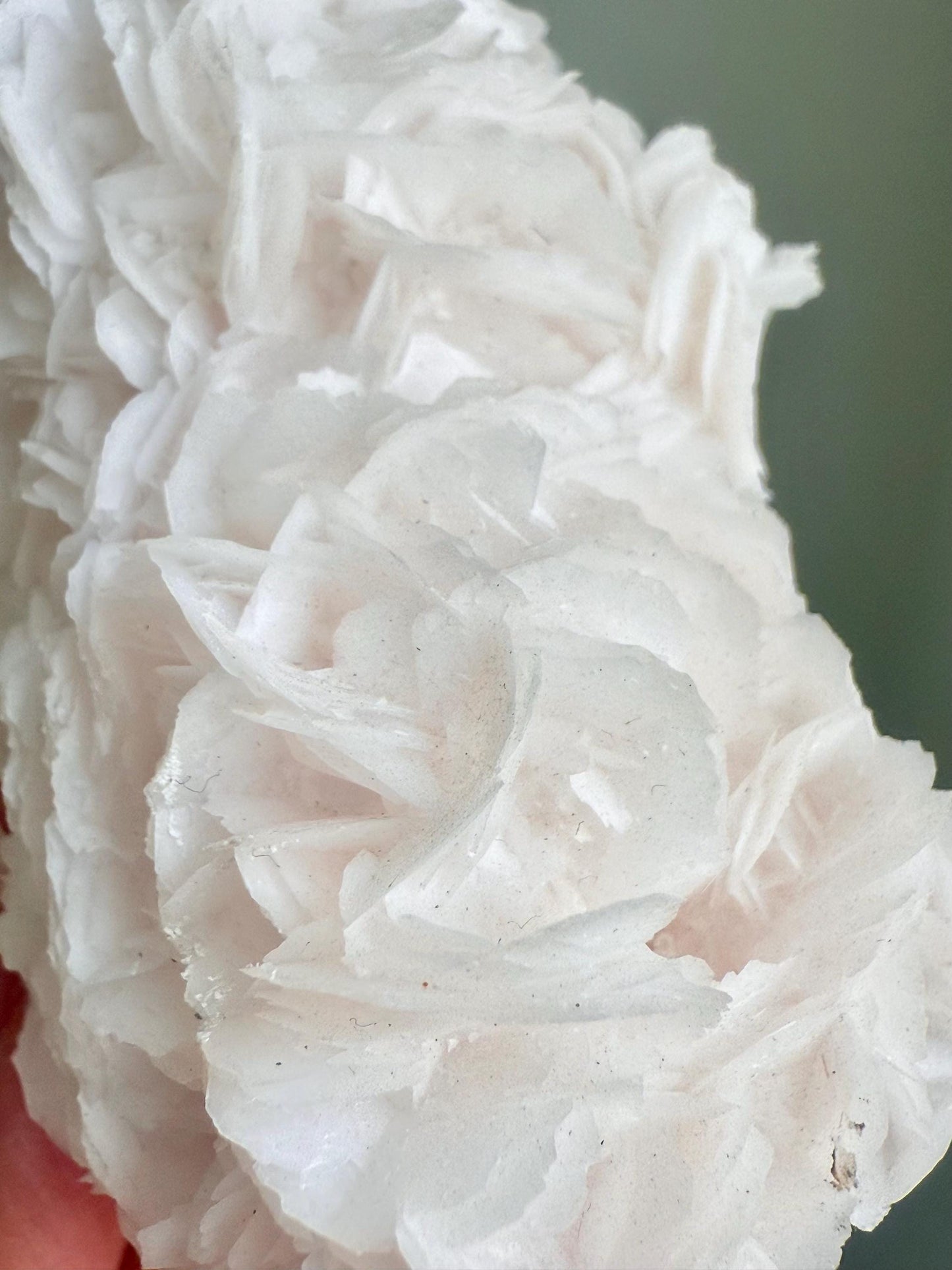 Fluorescent Pink Rose Calcite