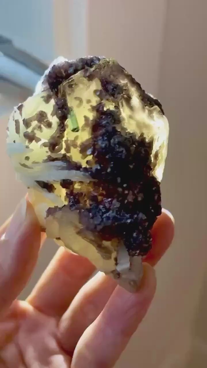 Video